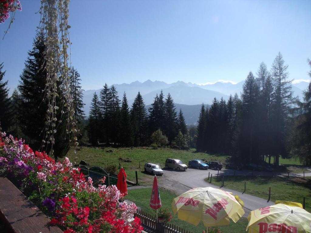 Hotel Gasthof Edelbrunn Ramsau am Dachstein Exterior foto