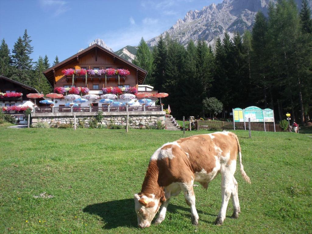 Hotel Gasthof Edelbrunn Ramsau am Dachstein Exterior foto